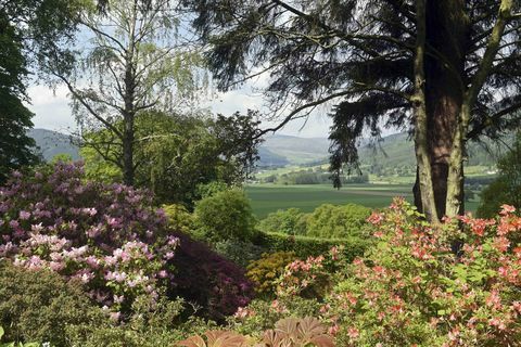 Domaine Bolfracks - Perthshire - jardins