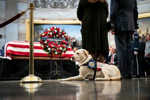 Le président George H.W. Bush se trouve en état au Capitole américain