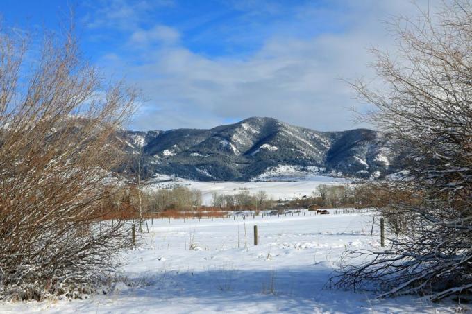 vue hivernale des montagnes Bridger vues de Bozeman Montana photo de Don et Melinda Crawforducguniversal images group via Getty Images