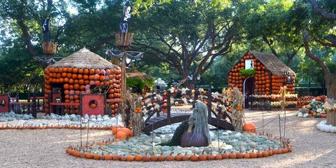 Dallas Pumpkin Village 2018