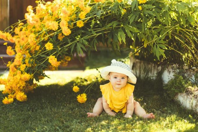 une petite fille dans un chapeau de soleil est assise dans le jardin sous un grand buisson de fleurs jaunes