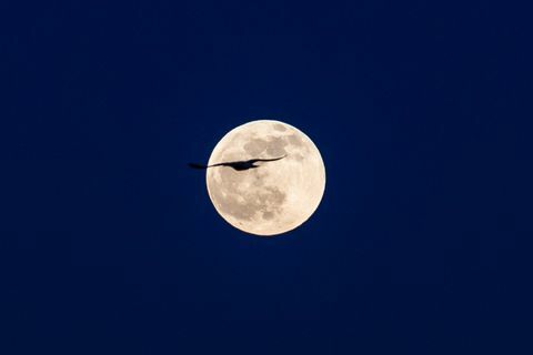 une rare lune bleue illuminera le ciel à halloween