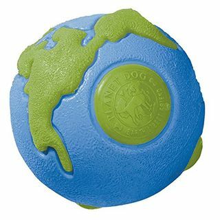 Planet Dog Orbee-Tuff Planet Ball Bleu
