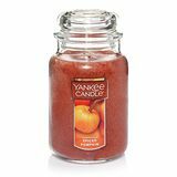 Bougie citrouille épicée Yankee Candle