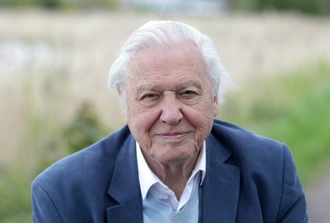 Photo de Sir David Attenborough