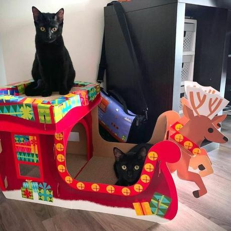 Target Wondershop Maison à gratter pour chat de Noël