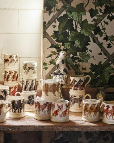 Emma Bridgewater lance une gamme pour chiens