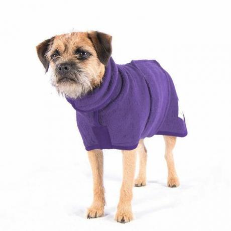 Manteau pour chien