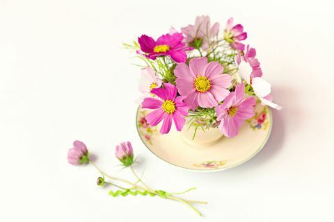 Jolies fleurs roses dans une tasse de thé
