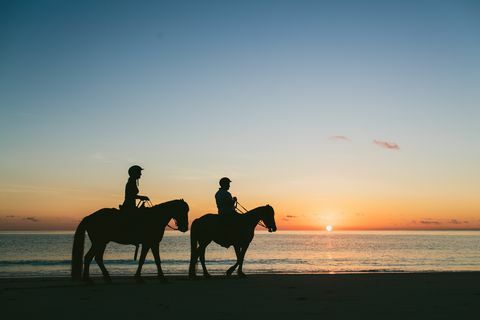 Balade à cheval au coucher du soleil sur l'île de la Tortue aux Fidji