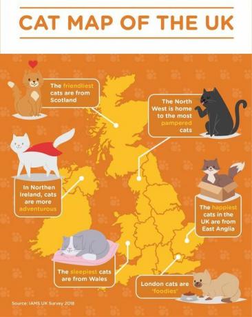 Journée internationale du chat - Carte des chats du Royaume-Uni 2018 - IAMS UK