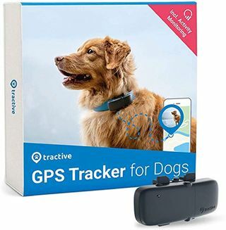 Traqueur GPS Tractive pour chiens