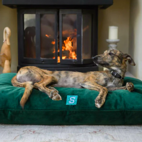 Lit pour chien en velours côtelé - Bouteille