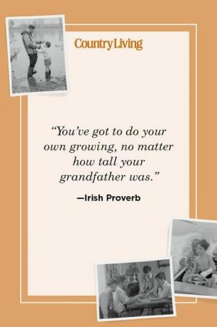"tu dois faire ta propre croissance, peu importe la taille de ton grand-père" -proverbe irlandais
