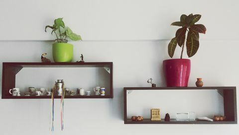 Plantes en pot sur des étagères à la maison