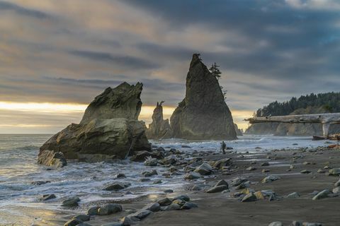 Homme sur la plage du Rialto, Fourches, Washington, USA