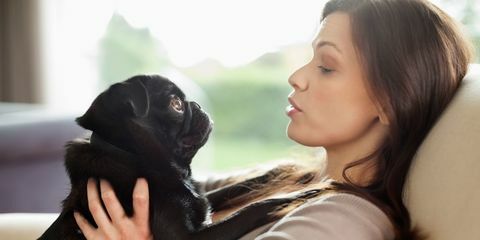 Femme relâche, à, chien, sur, sofa