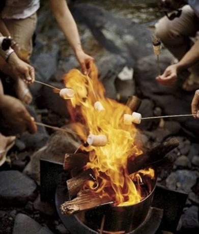 rôtir les guimauves à un feu de joie