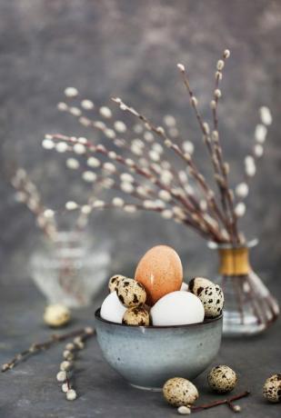 Oeufs de Pâques dans un bol et bouquet de saules sur fond gris