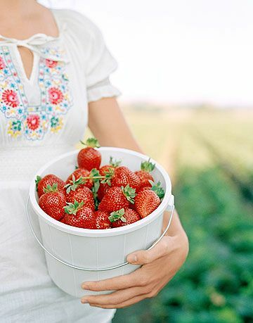 seau de fraises