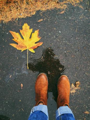 La réflexion de la femme dans une flaque d'eau tenant une feuille d'automne